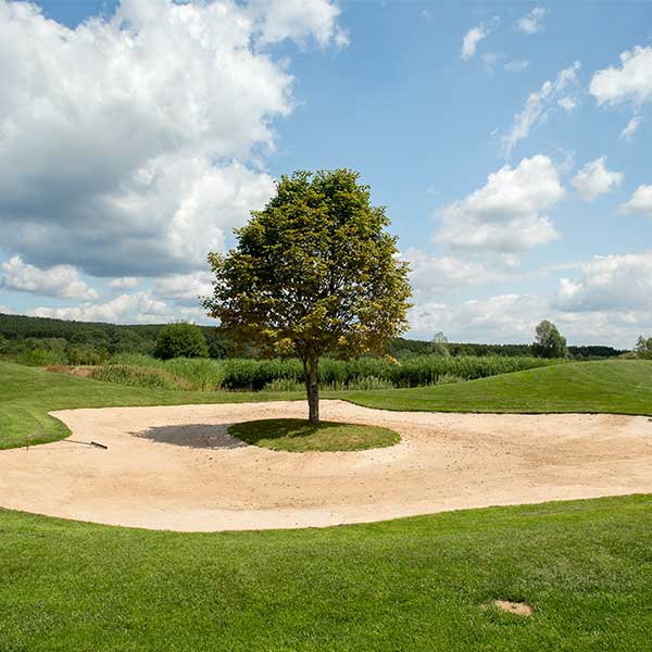 Golftrips-Golfpark Bostalsee GmbH (2)